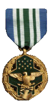 Award for 10 Army Commendation Medals